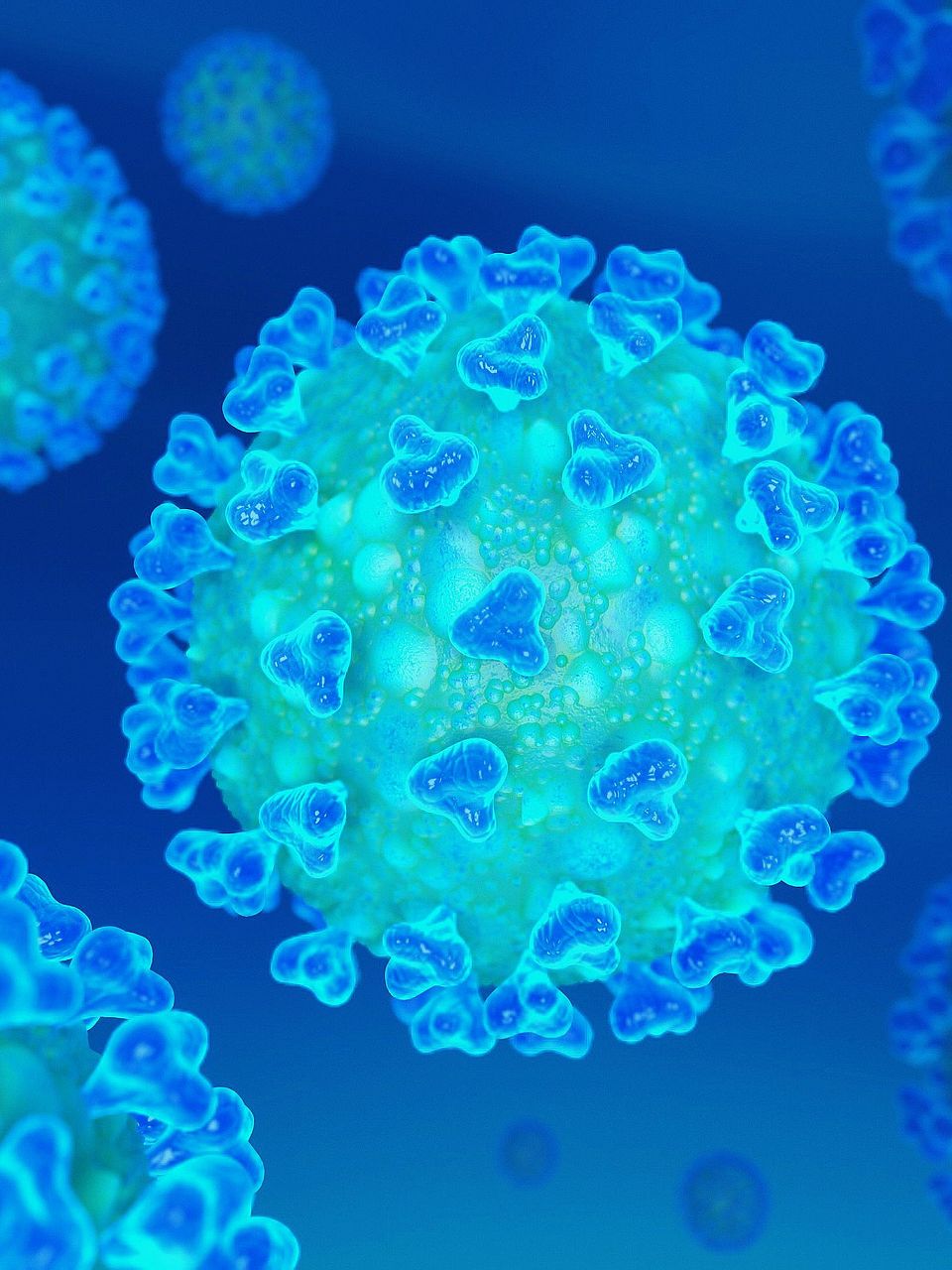 Coronavirus