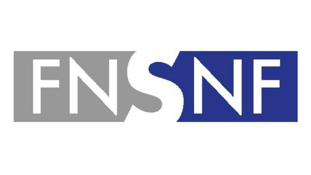 Logo SNF