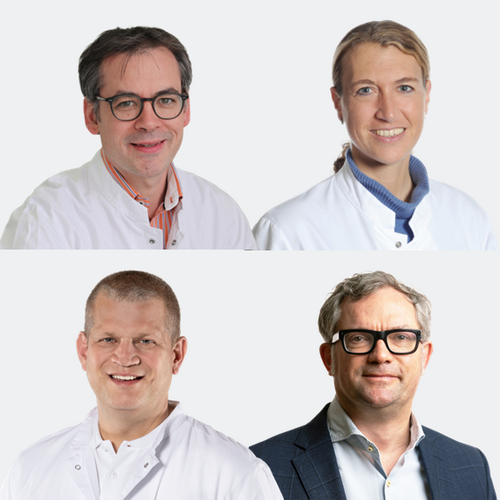Andreas Müller, Cordula Netzer, Walter Weber, Damian Wild