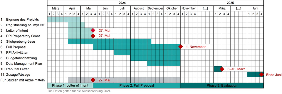 GANTT Chart Eingabe IICT Call